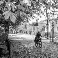 Photo Critique #172