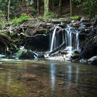 Photo Critique #186