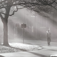 Photo Critique #190