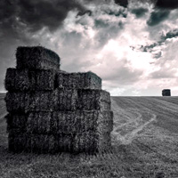 How to Process Photos Taken on Overcast Days
