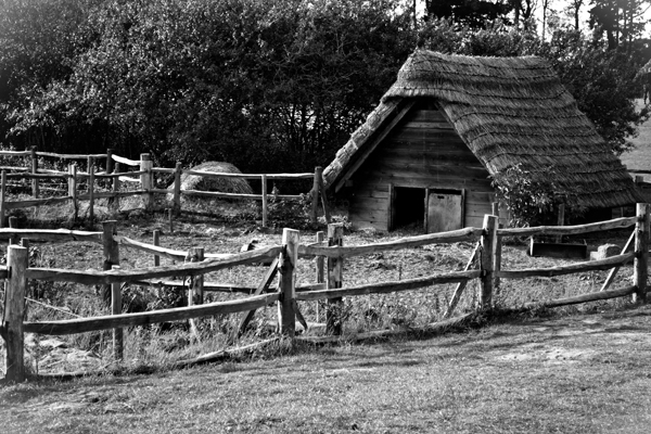 photoCRIT184DSC_0163