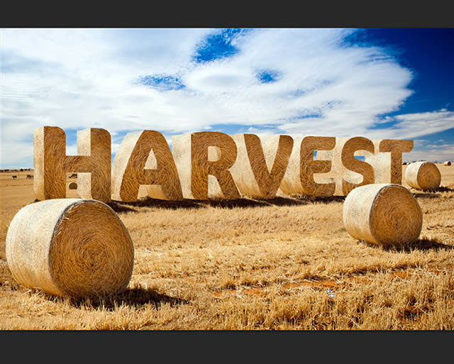 carefully try to mimic/copy place where hay is touching stubble